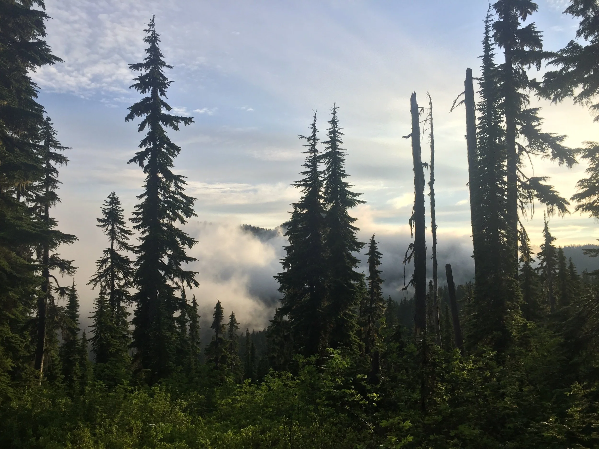 Day 10: Stevens Surprise