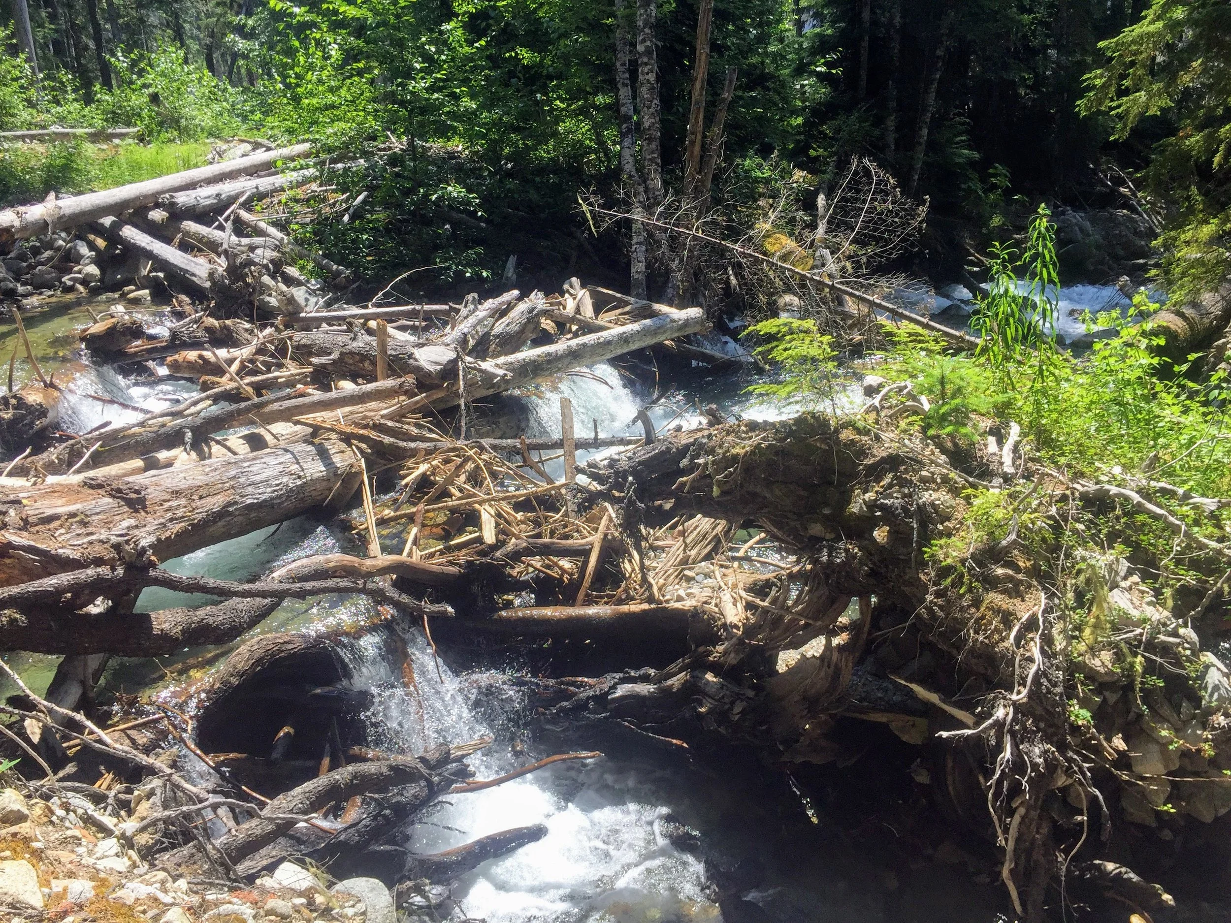 Day 7: The Lowest Low & The Recovery