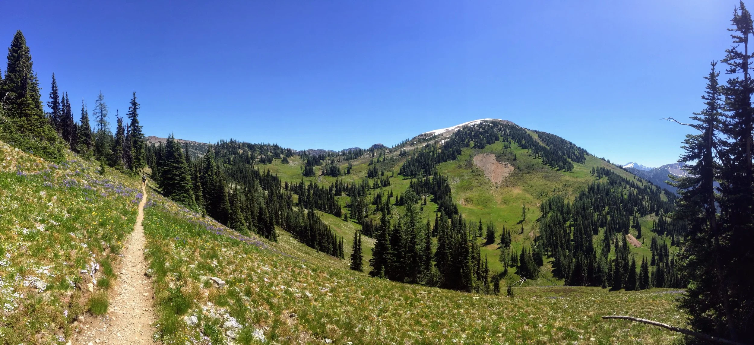 Day 3: Finding My Pace