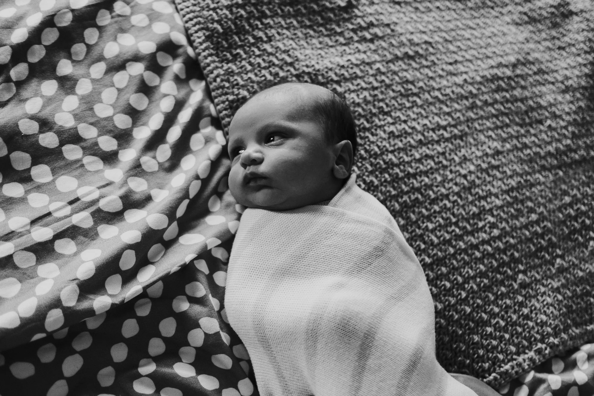 Melbourne Newborn Photography (12 of 20).jpg