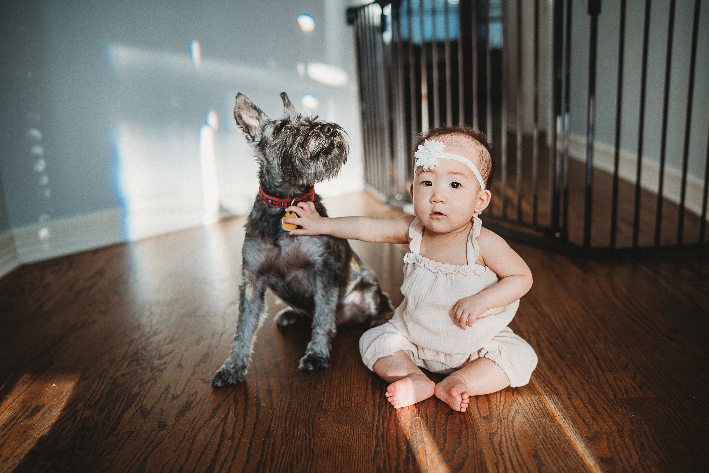kwalshphotography-8969.jpg