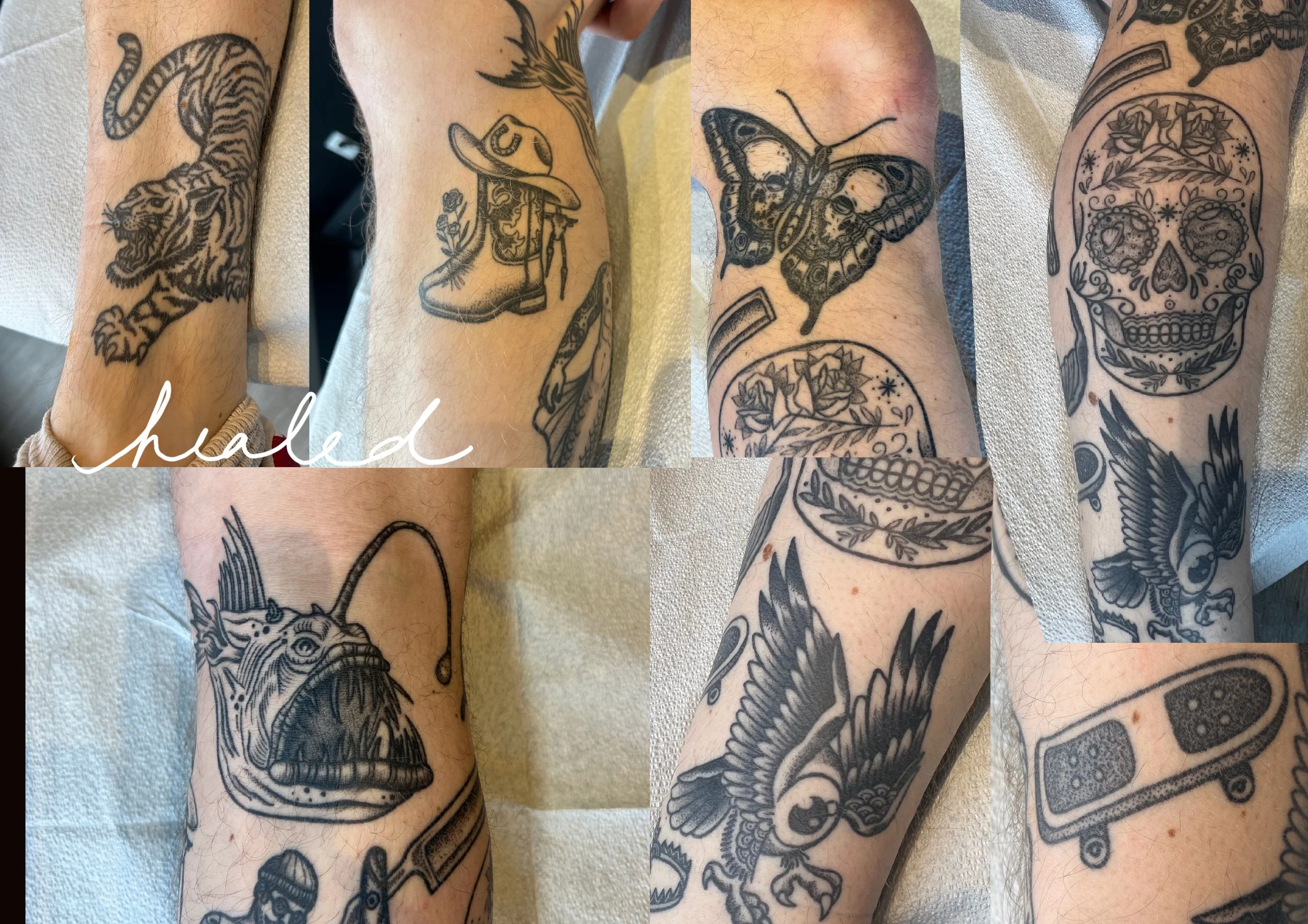 healed tattoos the healing tattoo process