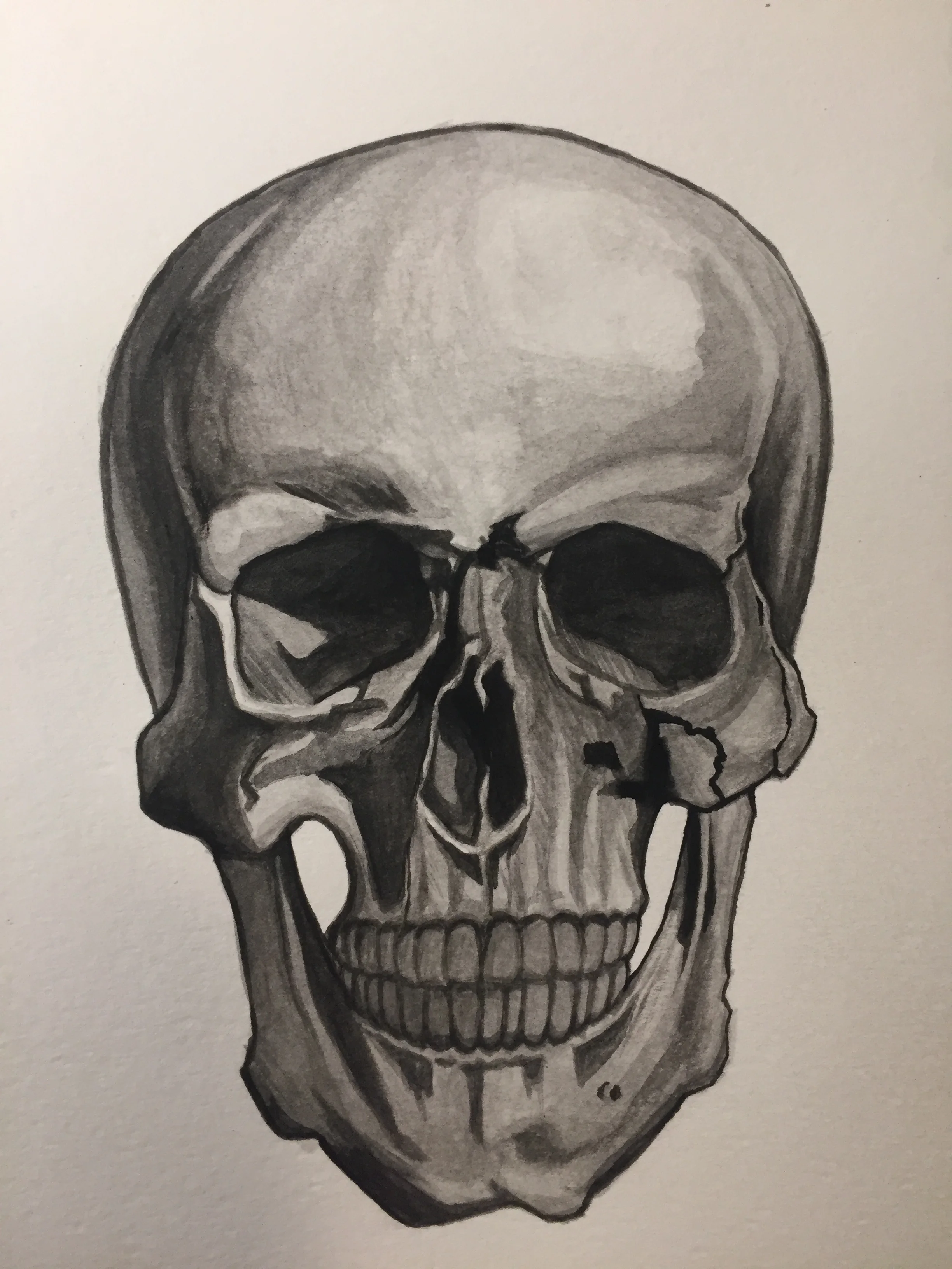 skull.JPG