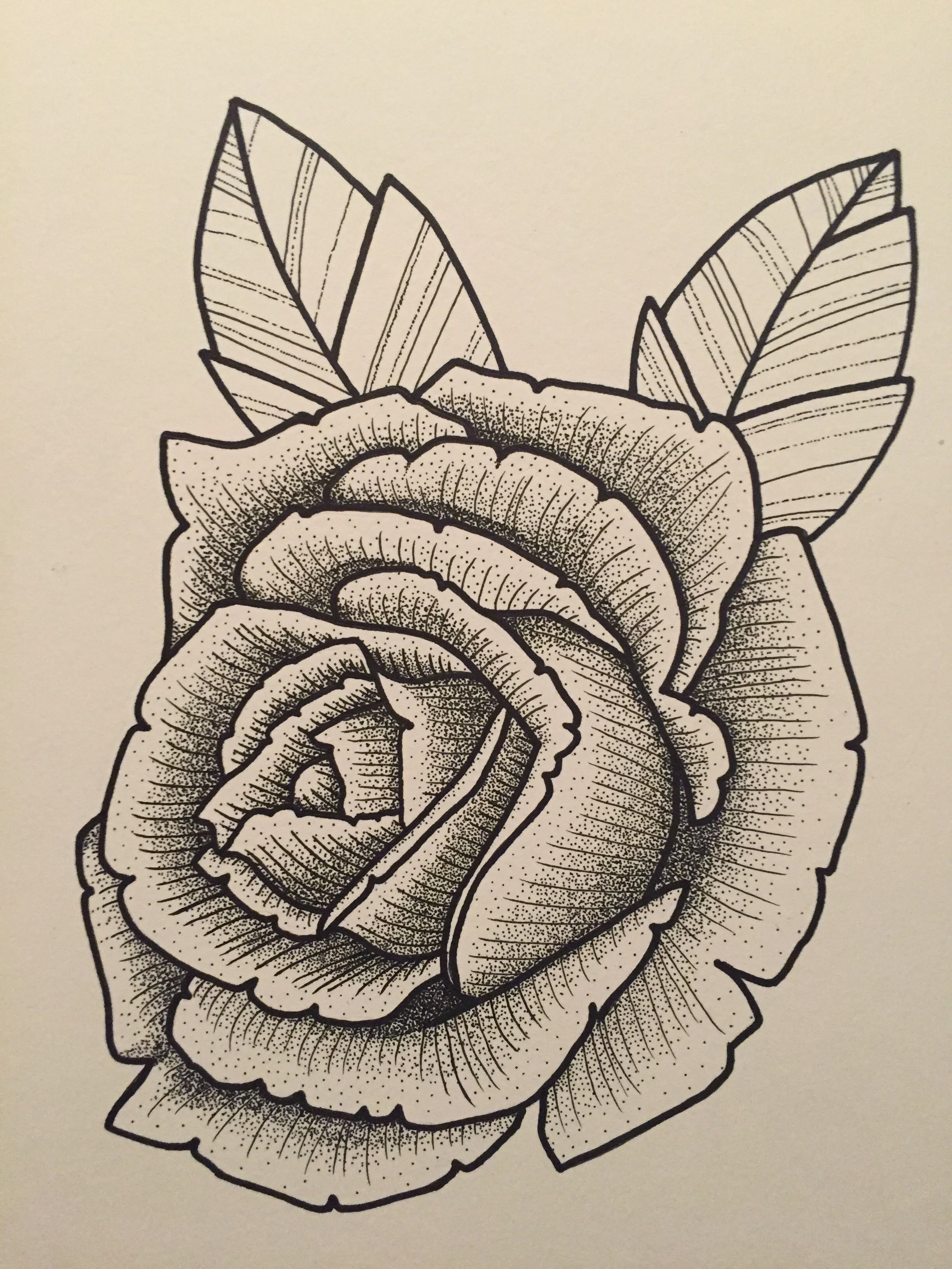 stippled ink rose.jpg