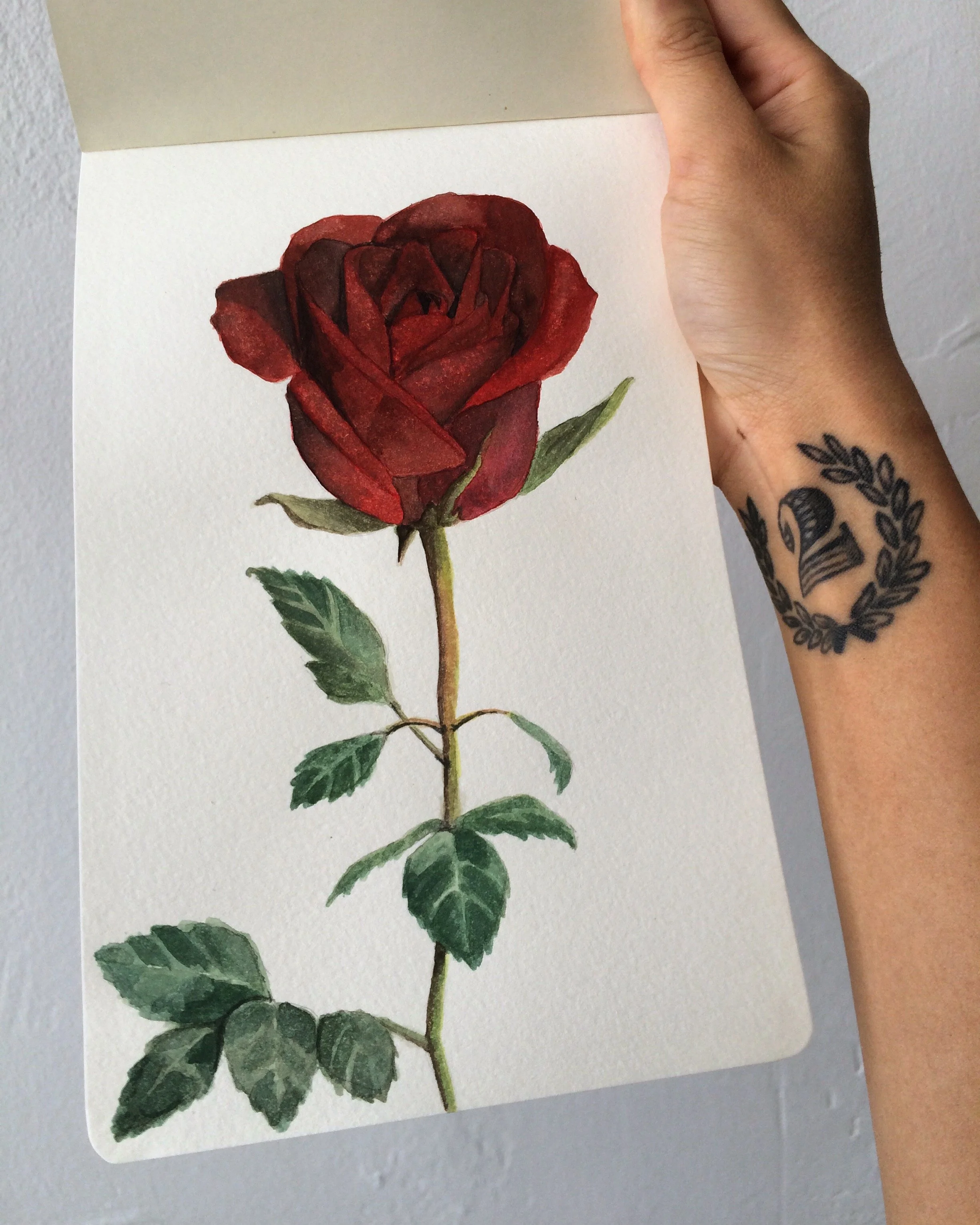 rose.JPG