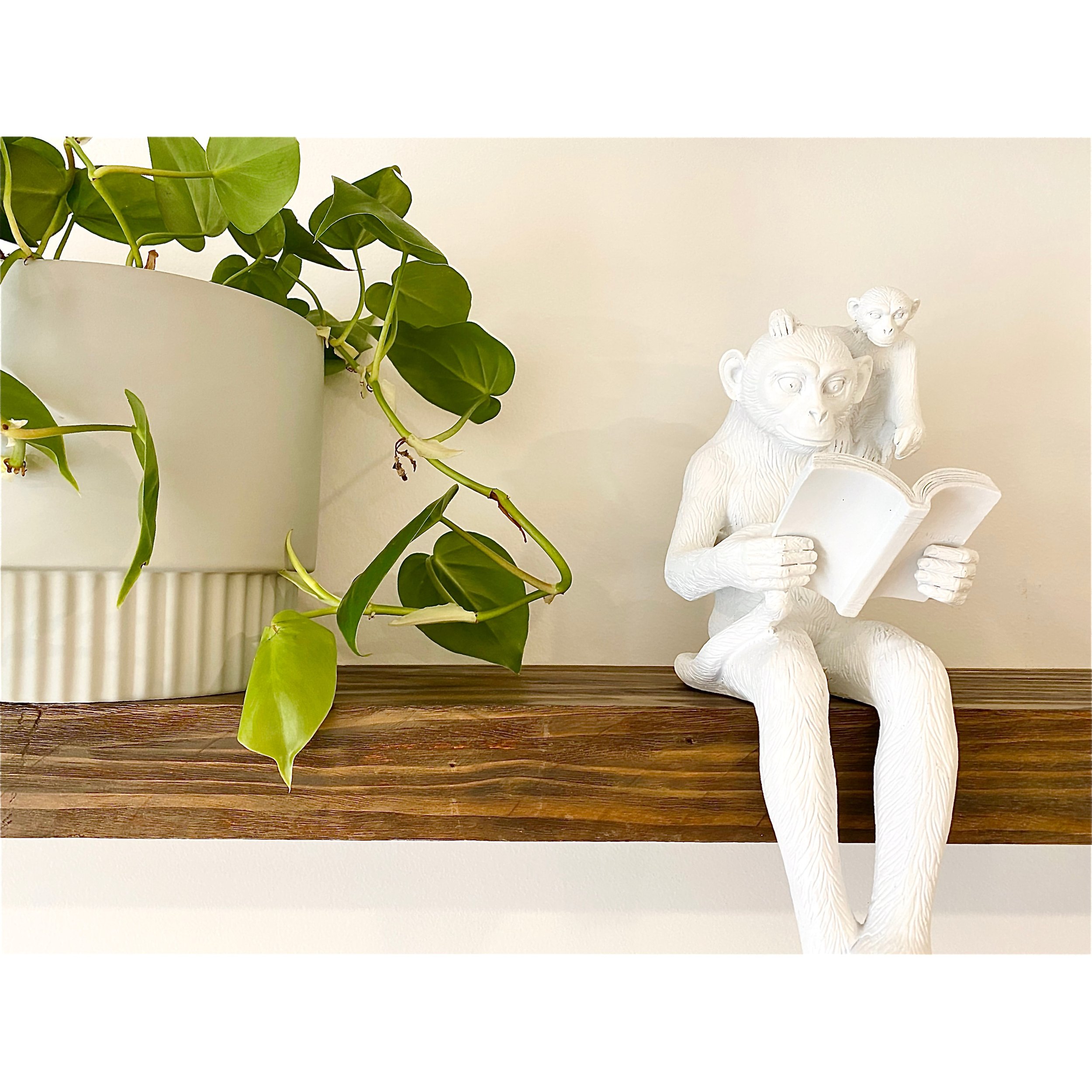 Whitagram-Image 8.JPG