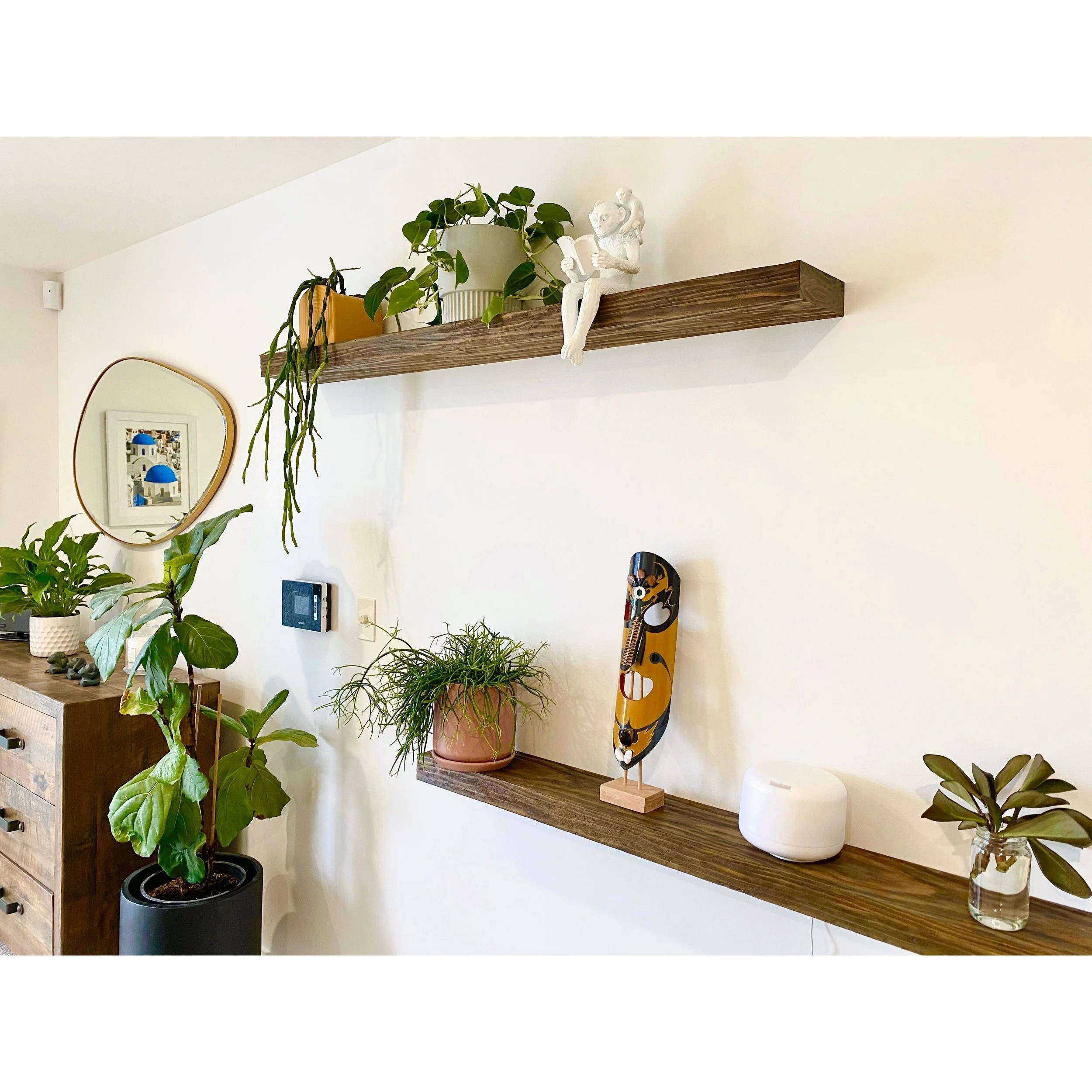 Whitagram-Image 7.JPG