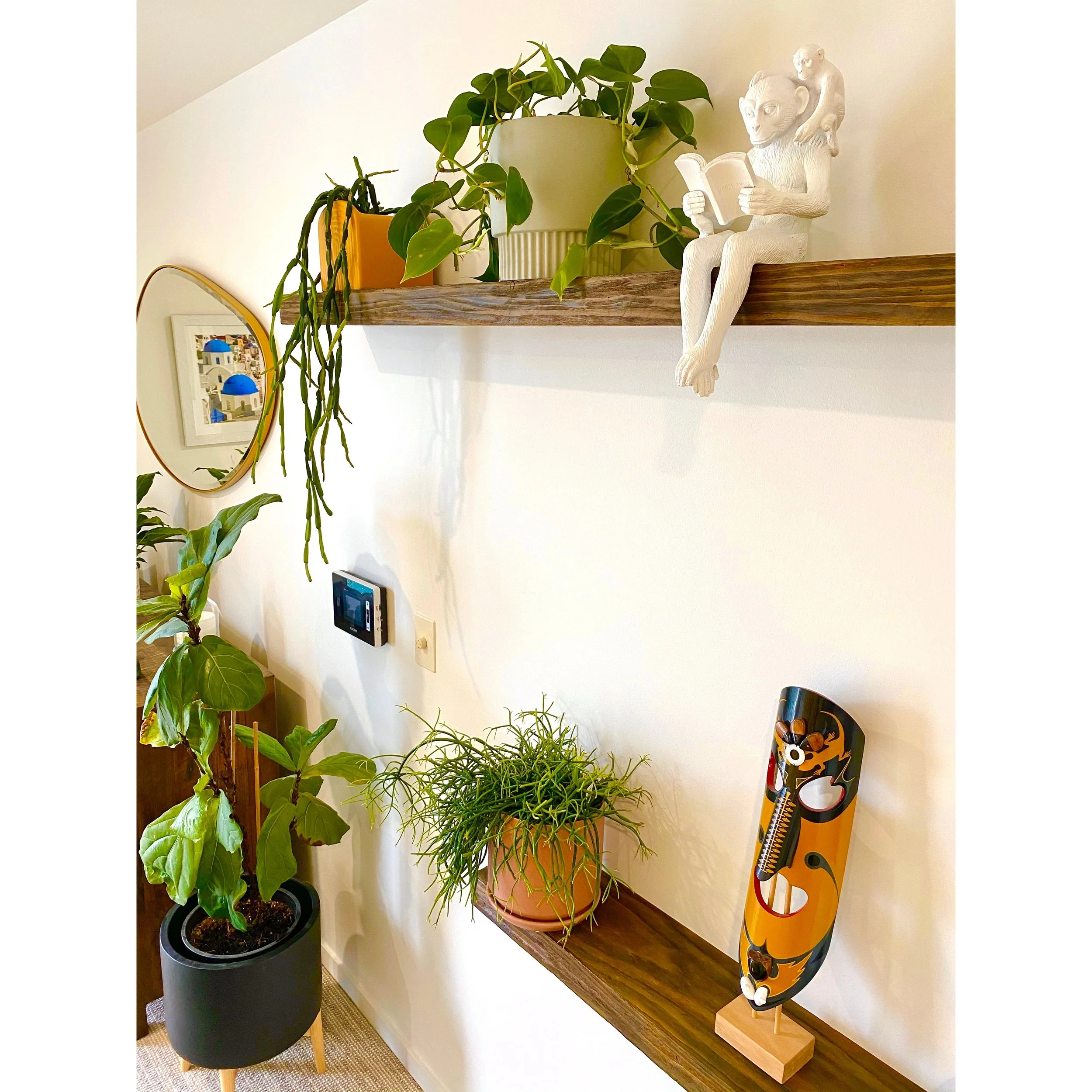 Whitagram-Image 5.JPG