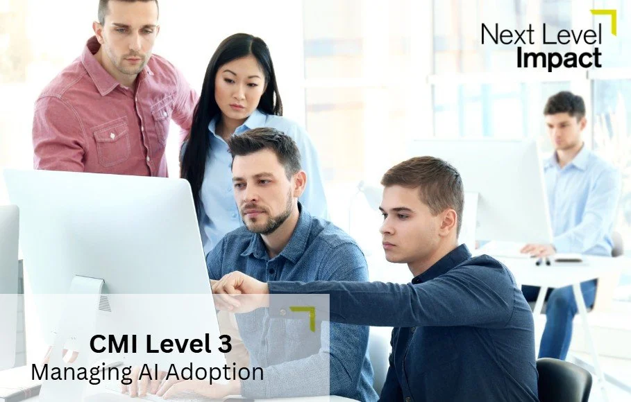 Executive Programmes — Next Level Impact
