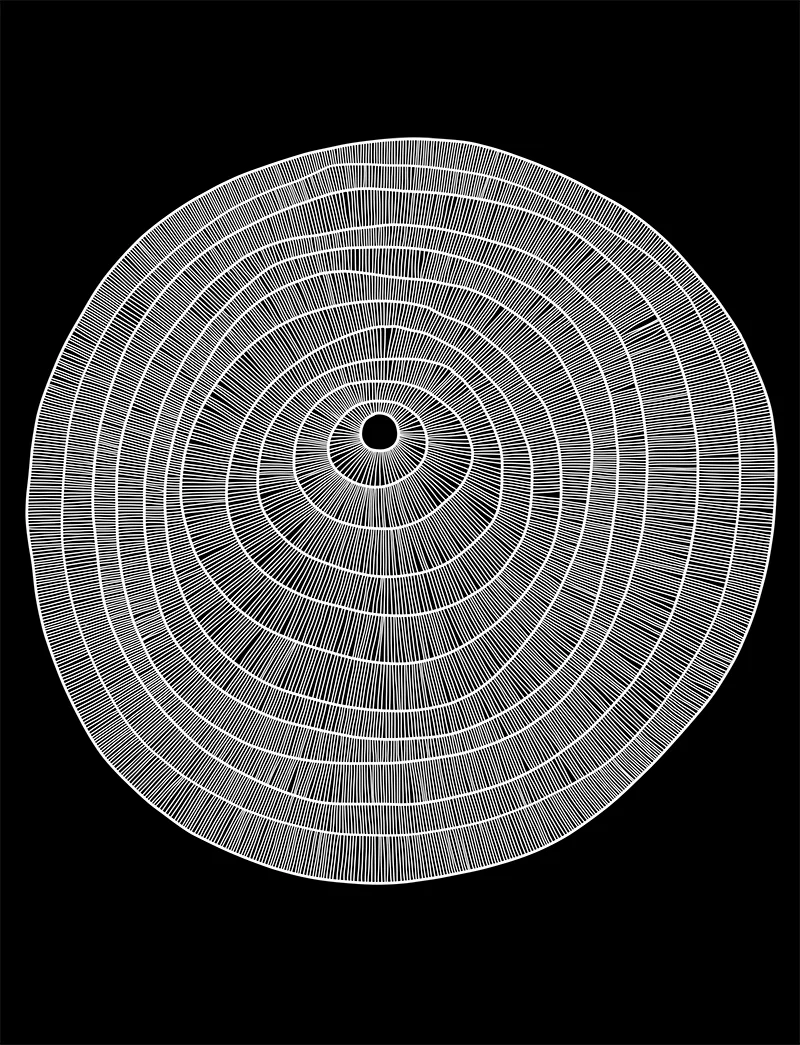 Beyond the middle_svart72.jpg