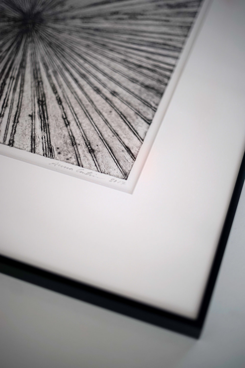 Print framed with white passepartout