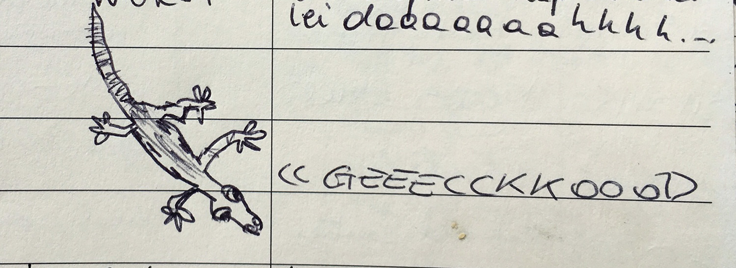 From Ines from Austria, July 2015