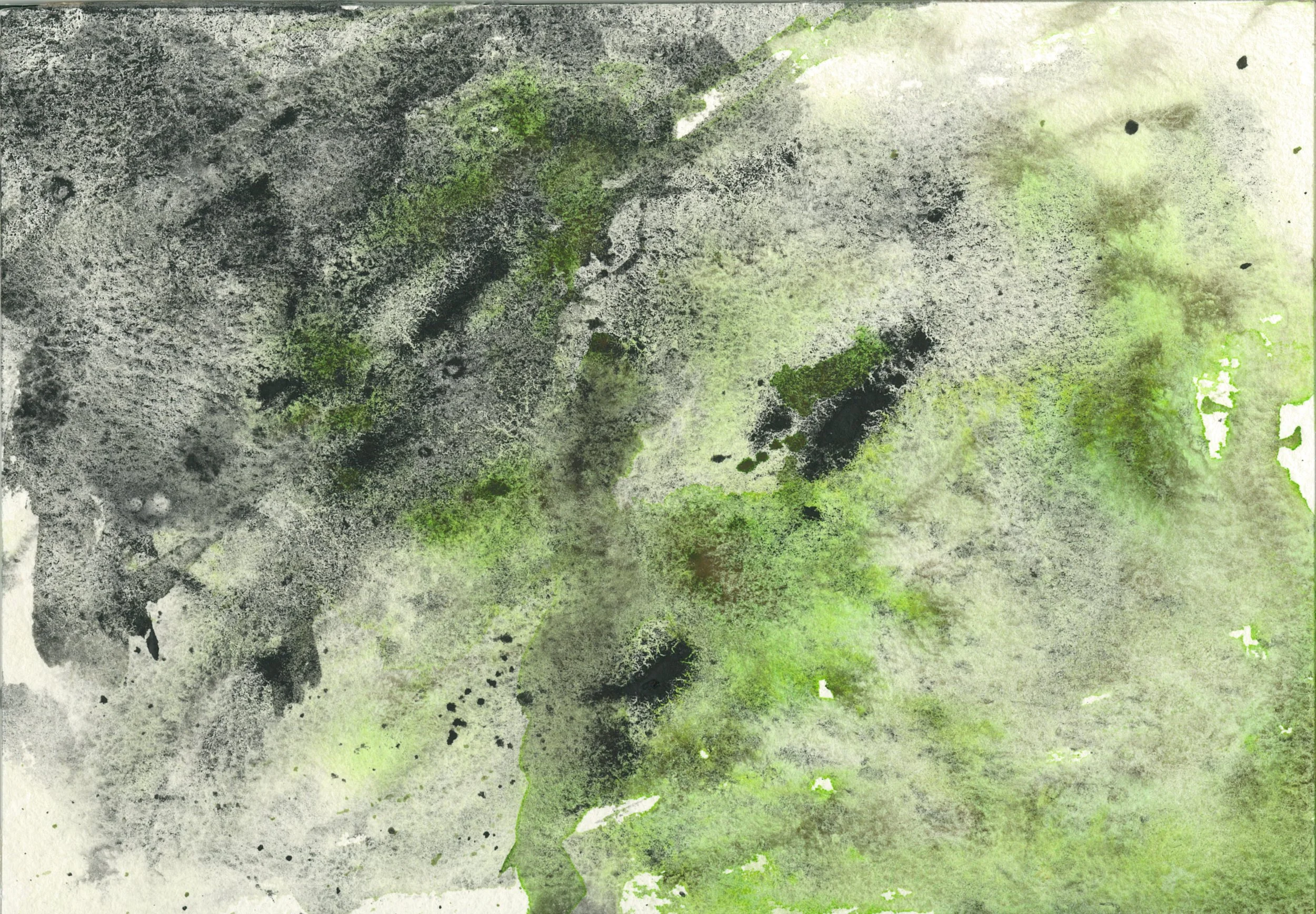 Ossicle Album Cover HD Scan.JPEG