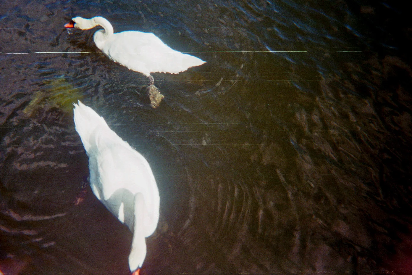 1608-Analog-12.jpg