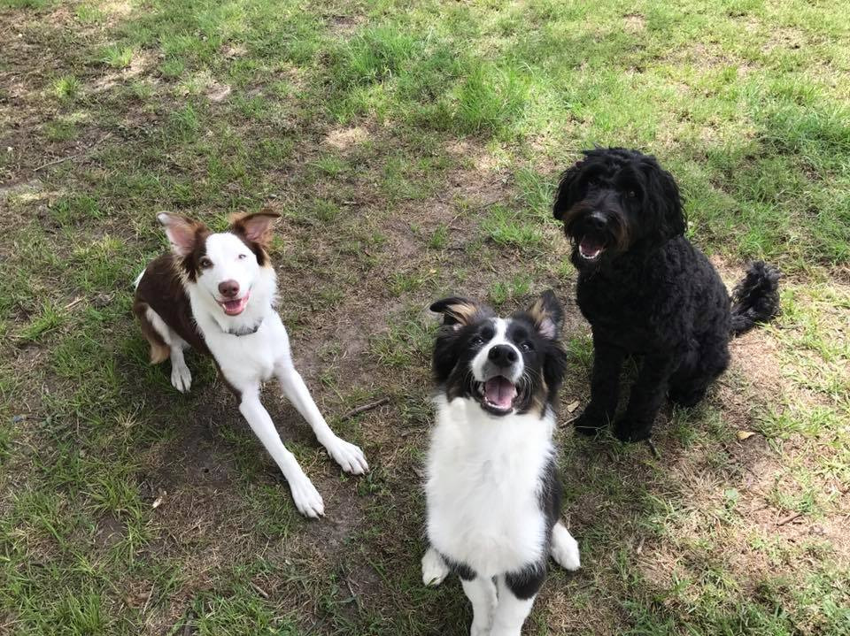 day care pic.jpg