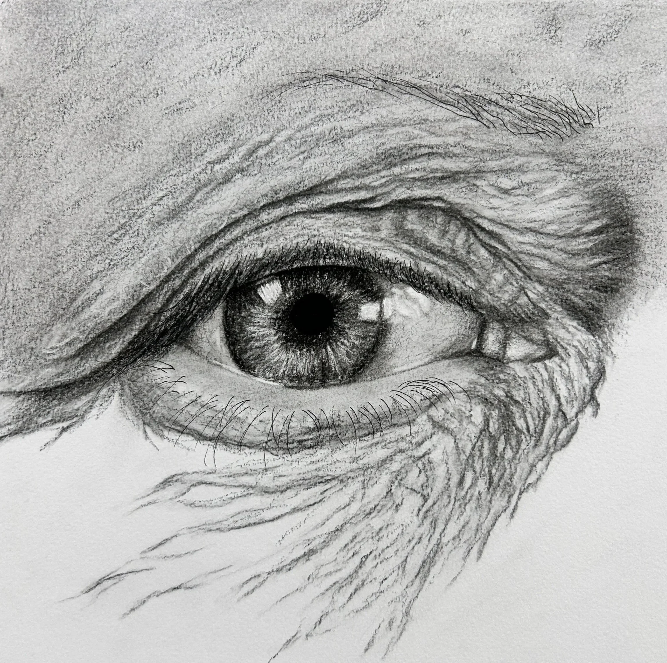 Careful%2Bwatch-21x21.jpg