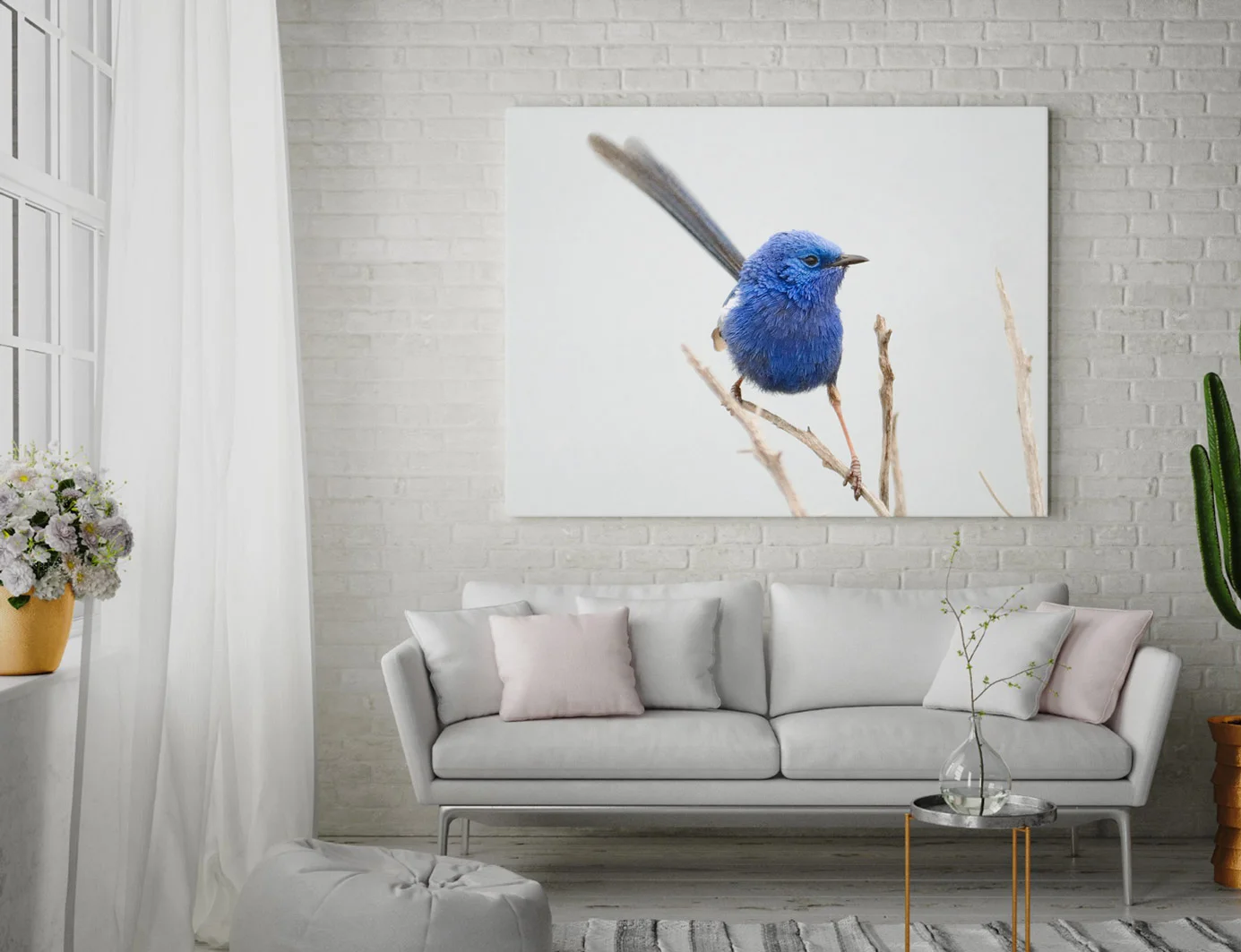 J.S.Parker Photography wildlife prints