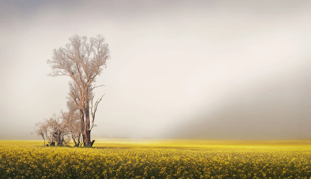 Wagin, Western Australia.