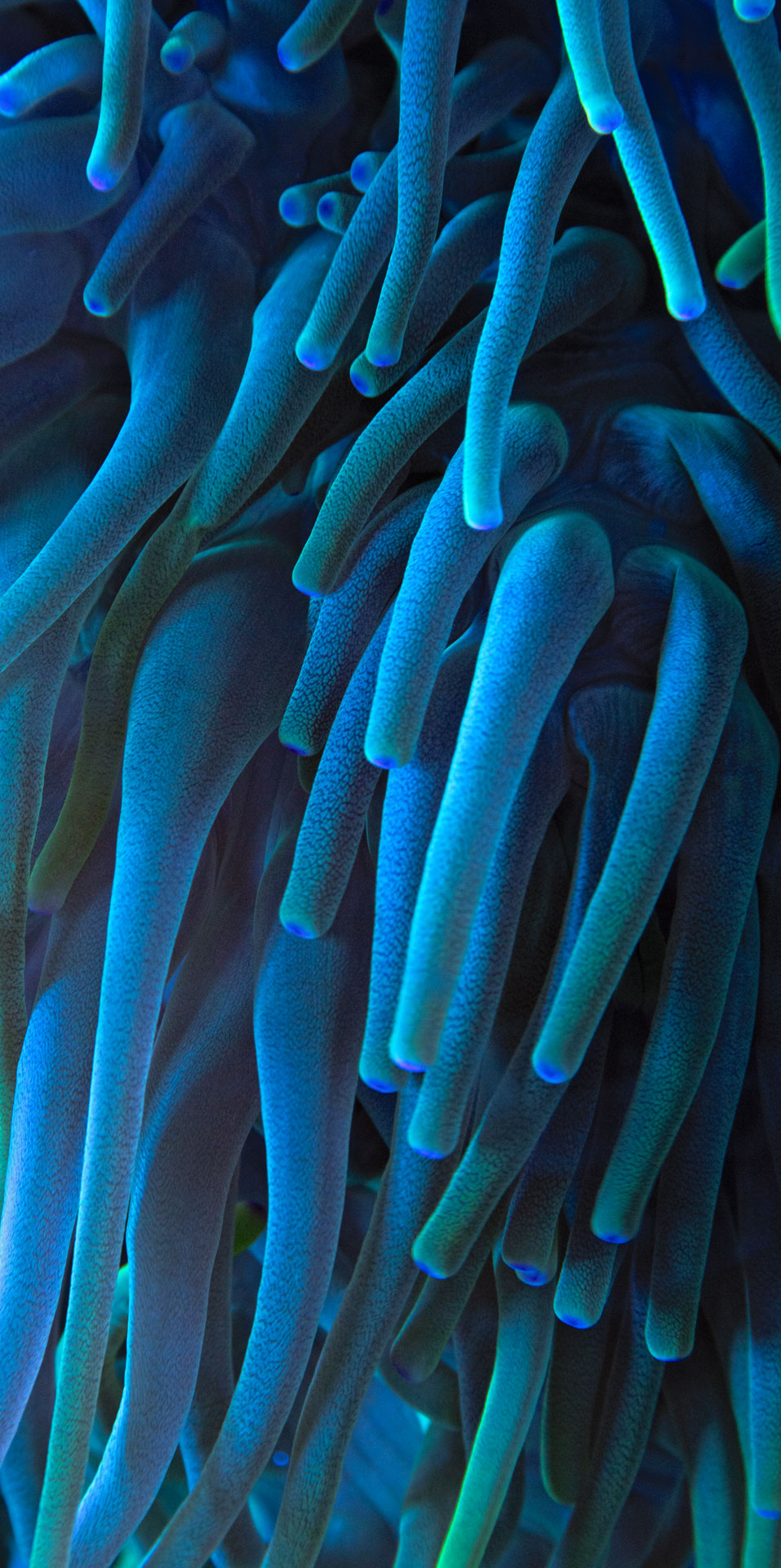 jsparker.photography.Abstract