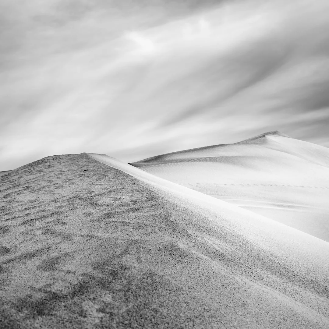 Dune-L-0009-2018.jpg