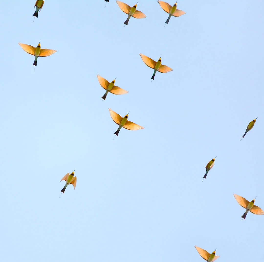 DSC_8245.jpg