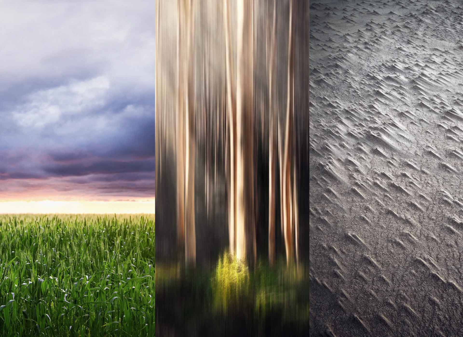 Landscape Photography-01.jpg