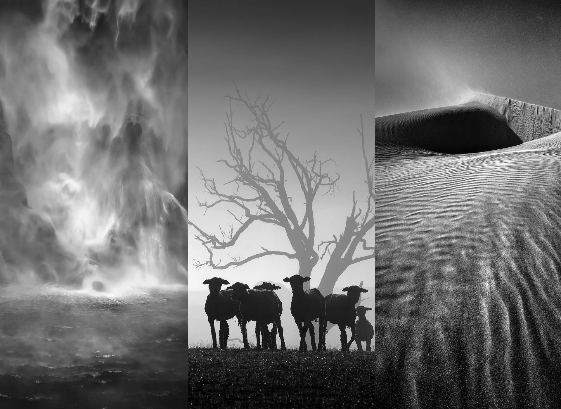 Landscape Photography-09 black and white photography.jpg