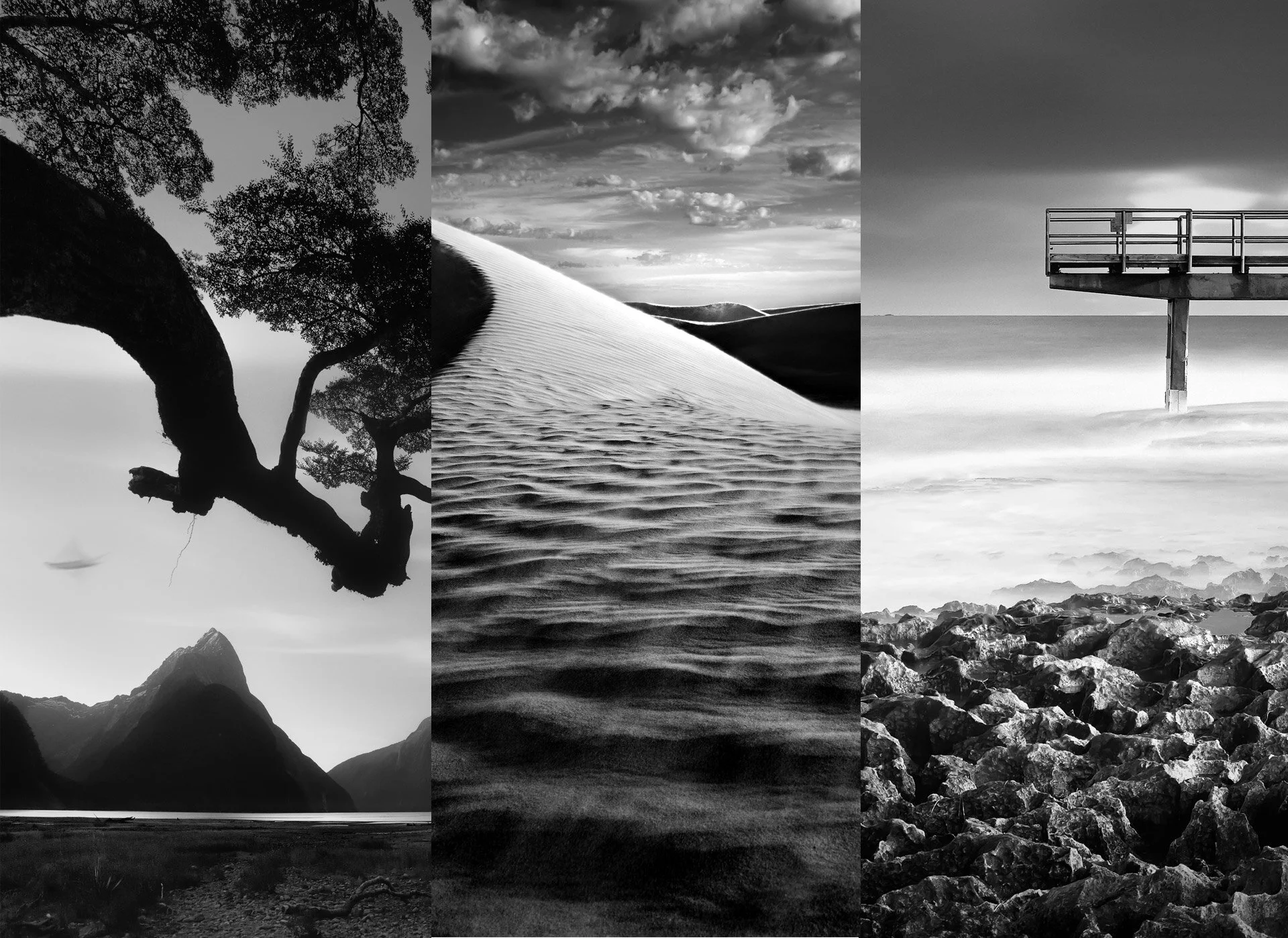 Landscape Photography-11 black and white photography.jpg