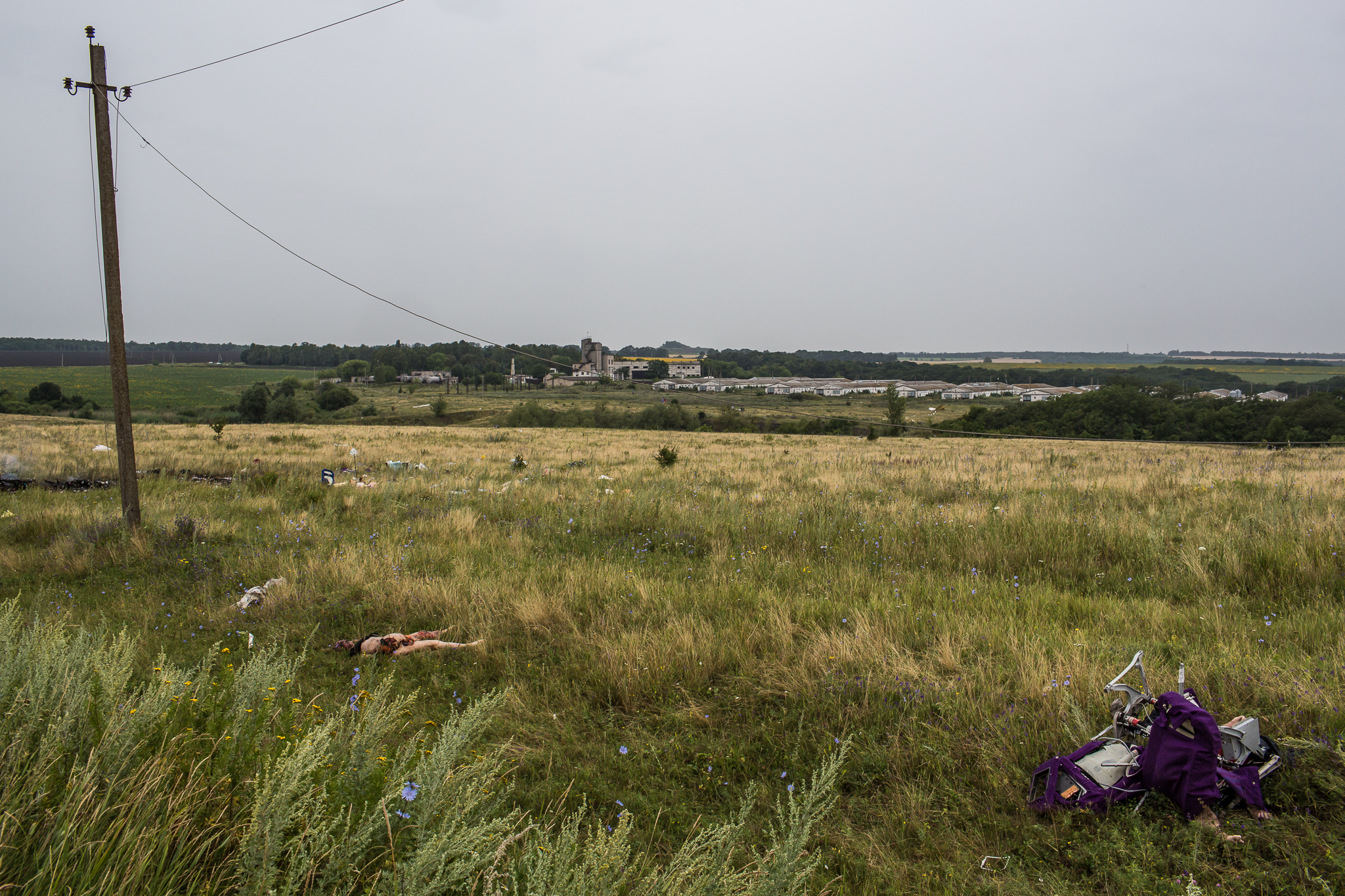  The bodies of victims of the crash of Malaysia Airlines flight MH17 lie in a field on July 18, 2014 in Grabovo, Ukraine. The flight, traveling from Amsterdam to Kuala Lumpur, crashed on the Ukraine/Russia border near the town of Shaktersk. The Boein