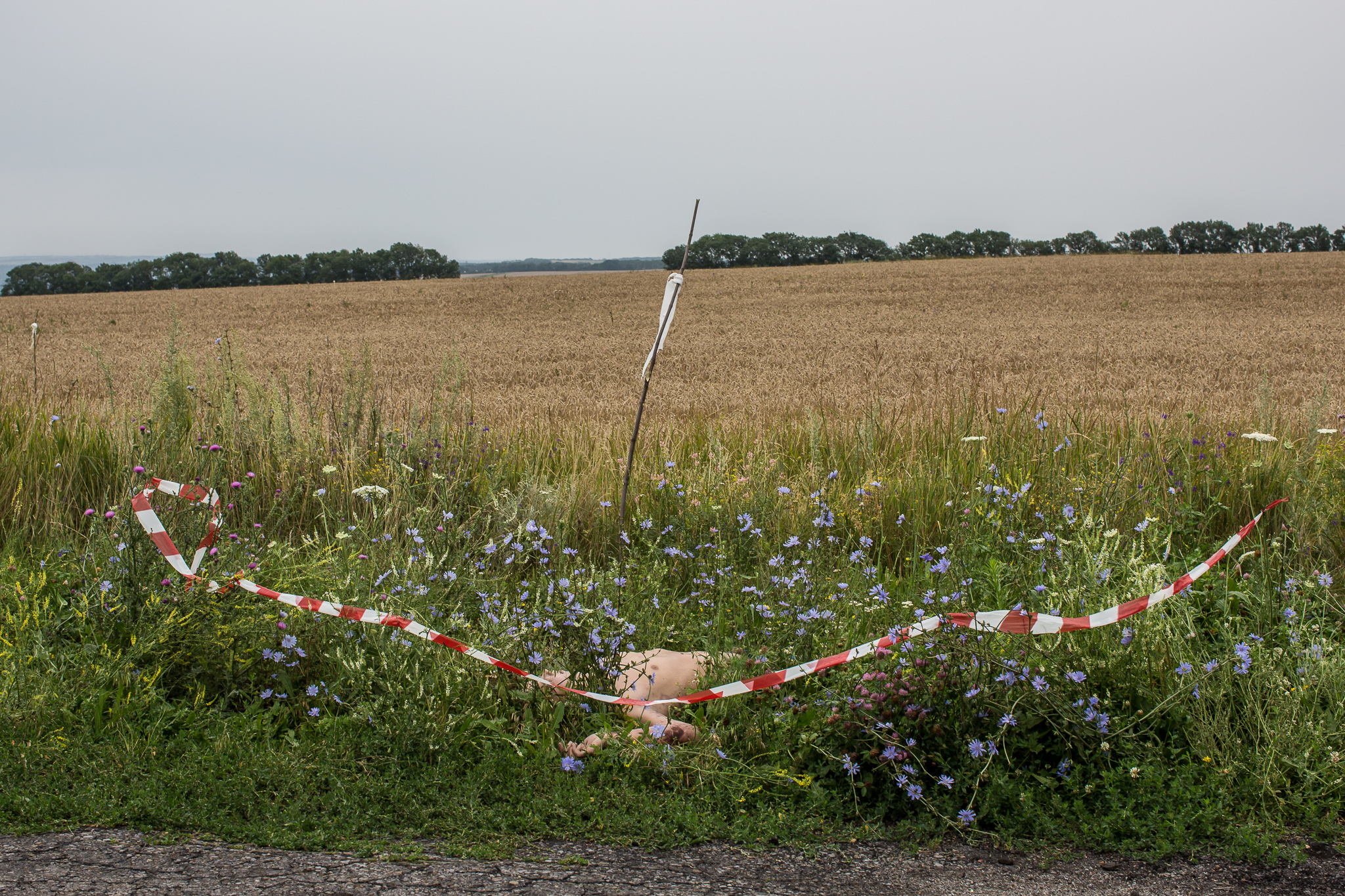  The body of a passenger on Malaysia Airlines flight MH17 lies at the edge of a road on July 18, 2014 in Grabovo, Ukraine. The flight, traveling from Amsterdam to Kuala Lumpur, crashed on the Ukraine/Russia border near the town of Shaktersk. The Boei