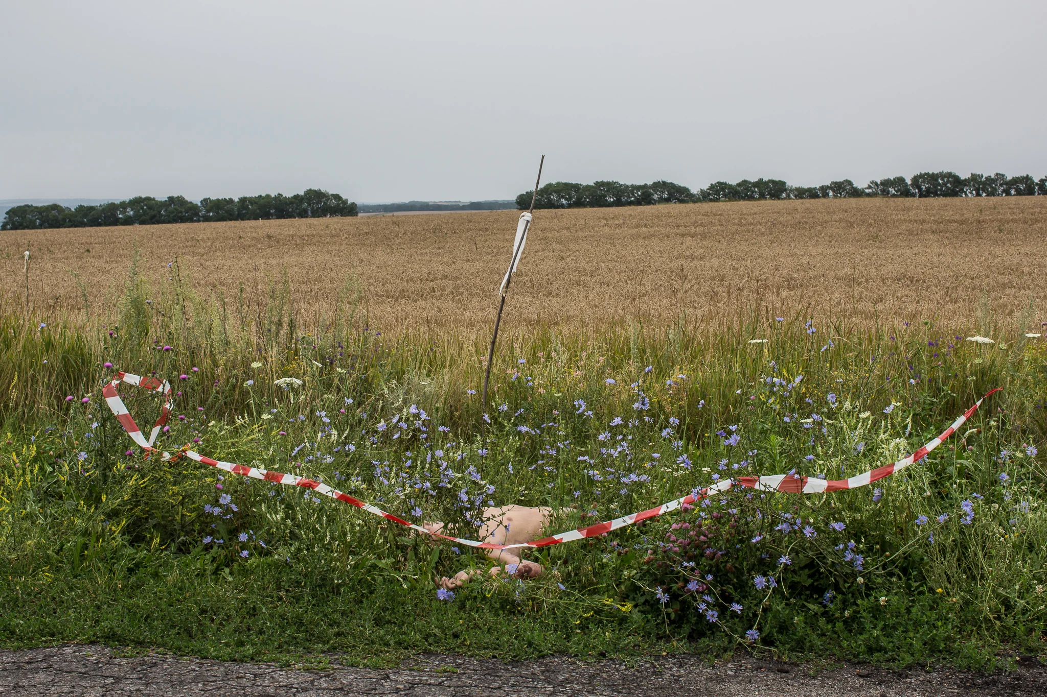 The body of a passenger on Malaysia Airlines flight MH17 lies at the edge of a road on July 18, 2014 in Grabovo, Ukraine. The flight, traveling from Amsterdam to Kuala Lumpur, crashed on the Ukraine/Russia border near the town of Shaktersk. The Boeing 777 was carrying 298 people.