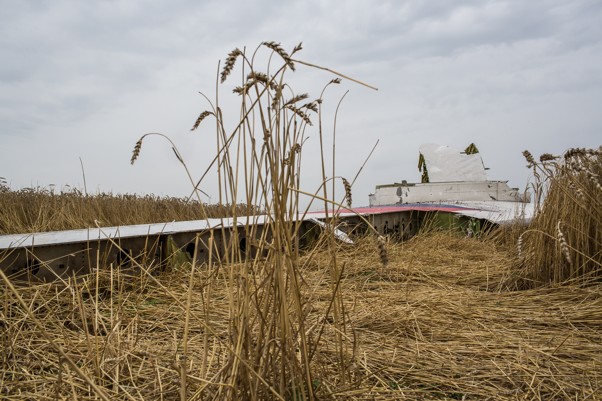  The tail from an Air Malaysia plane crash lies in a wheat field on July 18, 2014 in Grabovo, Ukraine. Malaysia Airlines flight MH17 travelling from Amsterdam to Kuala Lumpur has crashed on the Ukraine/Russia border near the town of Shaktersk. The Bo