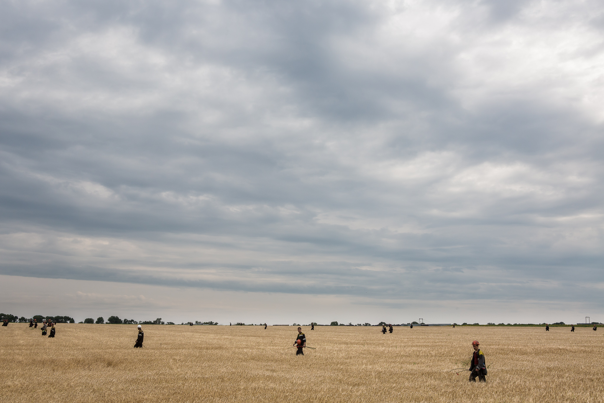  A group of off-duty coal miners searches a wheat field looking for remnants of Malaysia Airlines flight MH 17 on July 19, 2014 in Grabovo, Ukraine. The flight was traveling from Amsterdam to Kuala Lumpur when it crashed killing all 298 on board incl