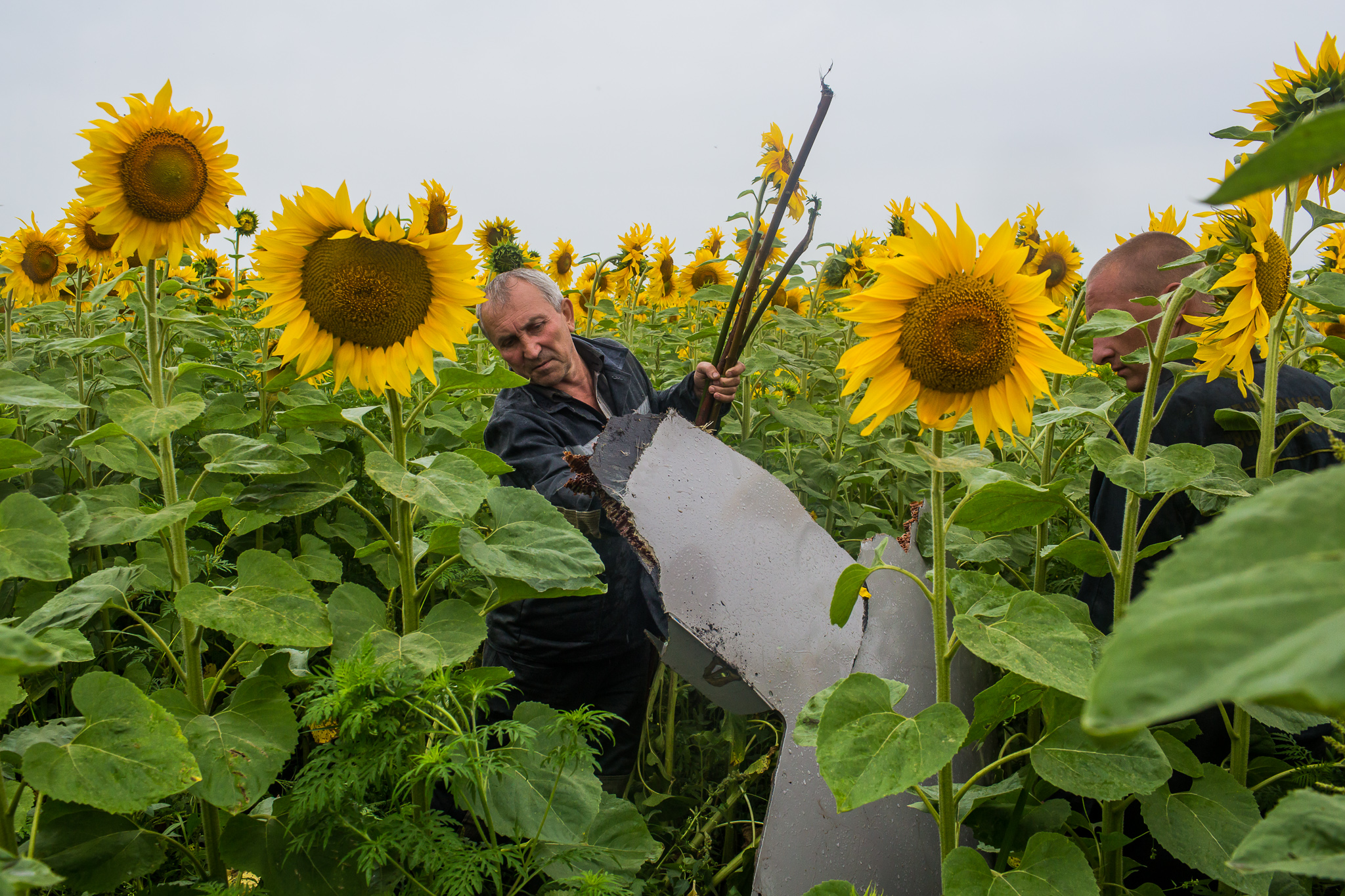  Off-duty coal miners inspect a piece of debris found in a field from the crash of Malaysia Airlines flight MH17 on July 18, 2014 in Grabovo, Ukraine. The flight, traveling from Amsterdam to Kuala Lumpur, crashed on the Ukraine/Russia border near the