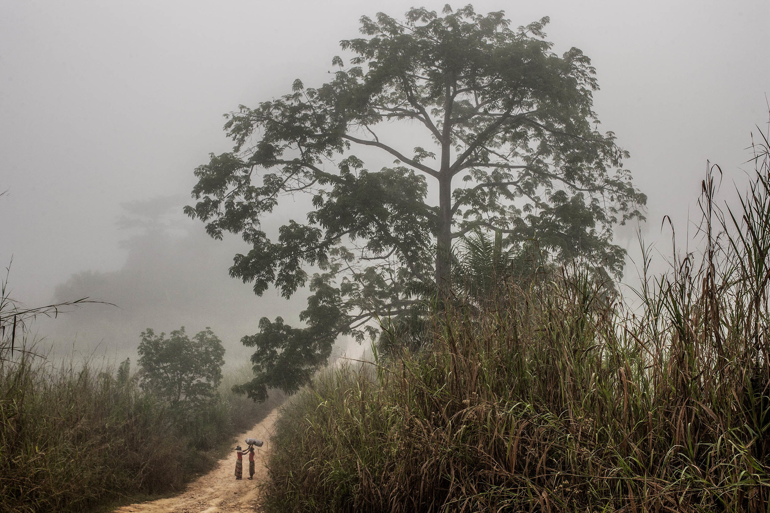  Two women stop to adjust the charcoal they carry on the road between Meliandou and Gueckadou, in southern Guinea. (Pete Muller/Prime for National Geographic)   