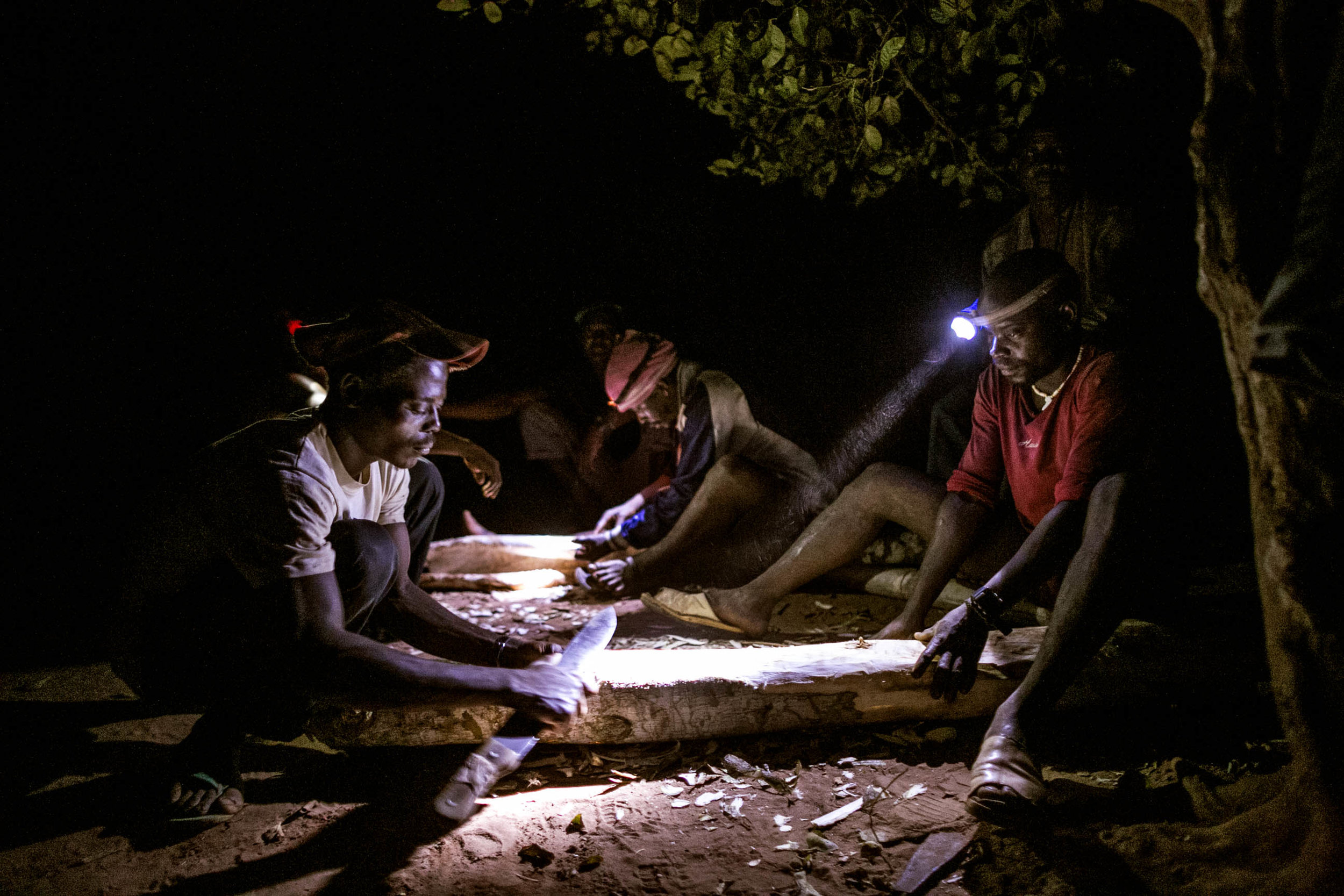  Alpha,  Joseph, Ibrahim and their friends begin the initial stages of stripping the outer layer of bark in order to make the traditional hunting attire. (Pete Muller/Prime for National Geographic) 