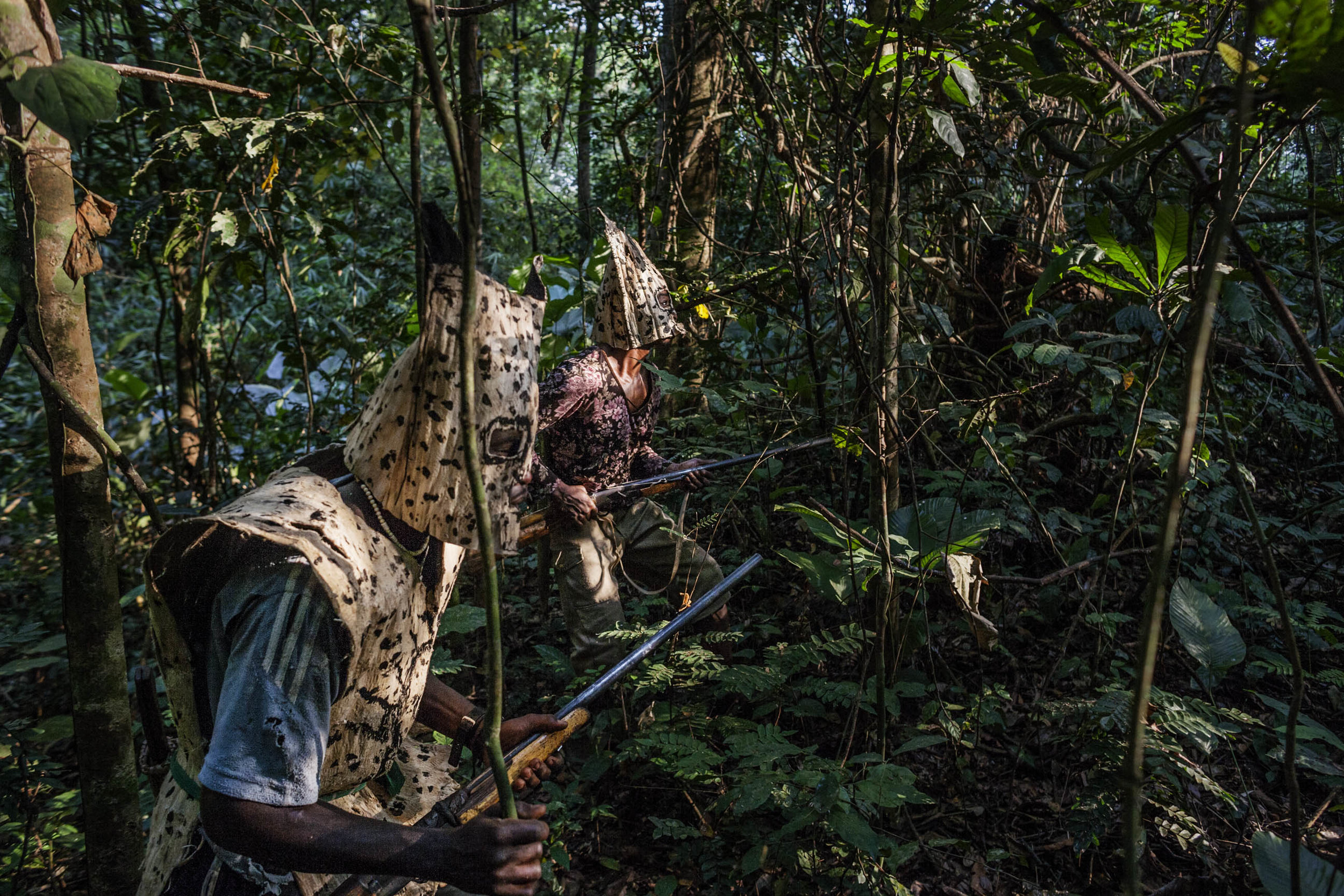  Bushmeat hunters hunt for monkeys in the forest outside of Wisi.  (Pete Muller/Prime for National Geographic) 