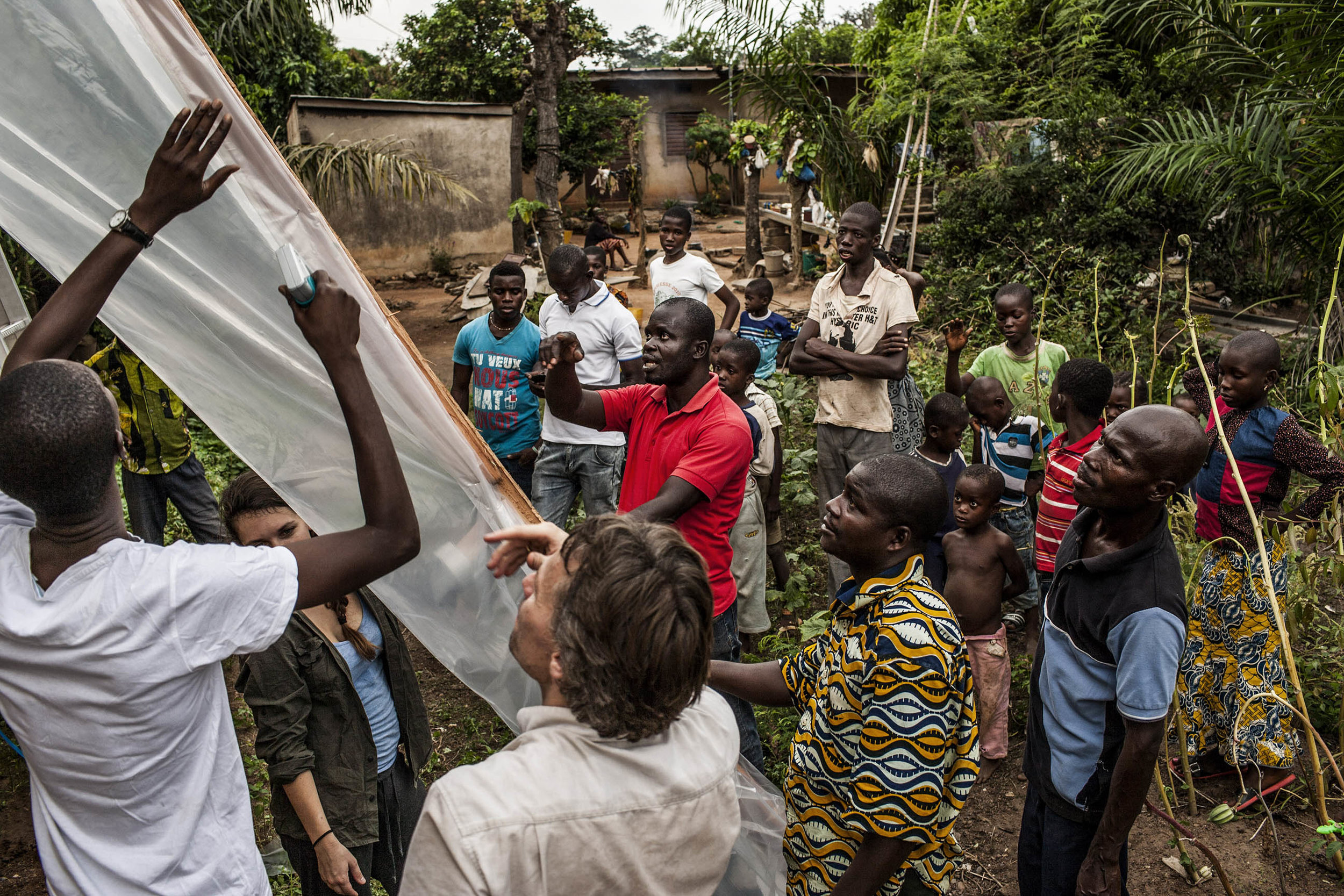  Dr. Fabian Leendertz (center foreground), Kouadio Leonce (left)  Krou Hermann Assemien (center in red shirt), Dede Yapo Desire (right center foreground) and Diambra Yapo Innocent (far right foreground) construct the bat-trapping apparatus in the vil