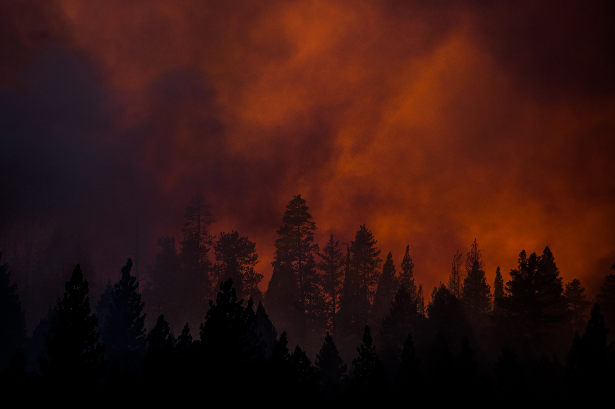  Sunset on the Rim Fire near Buck Meadows, California, August 22, 2013. The Rim Fire burned 257,314 acres and is the third largest wildfire in California history. 