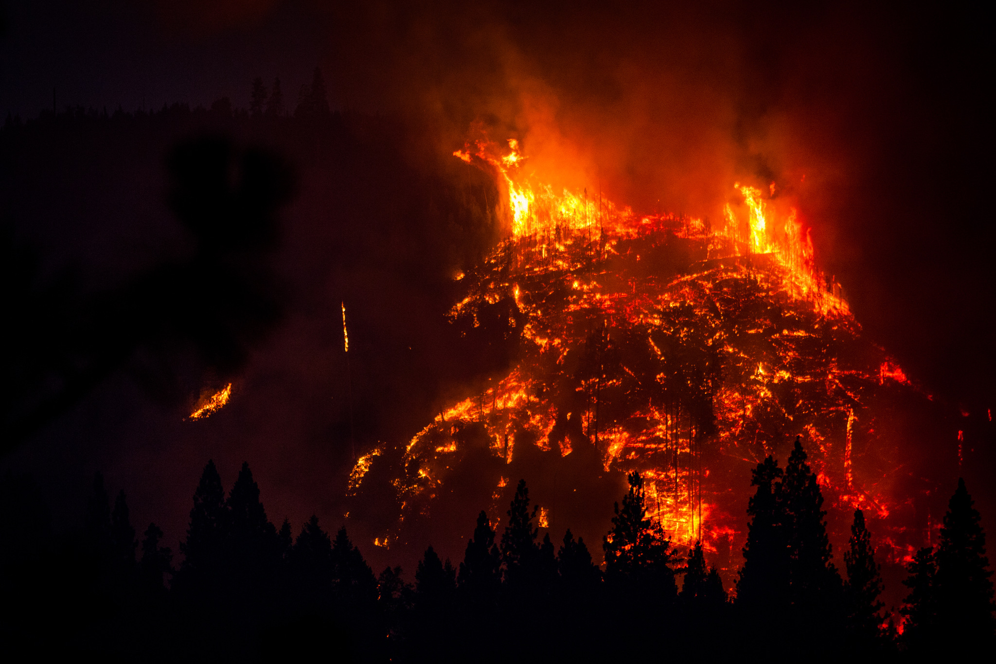  The Rim Fire burns near Buck Meadows, California, August 24, 2013. The Rim Fire burned 257,314 acres and is the third largest wildfire in California history. 