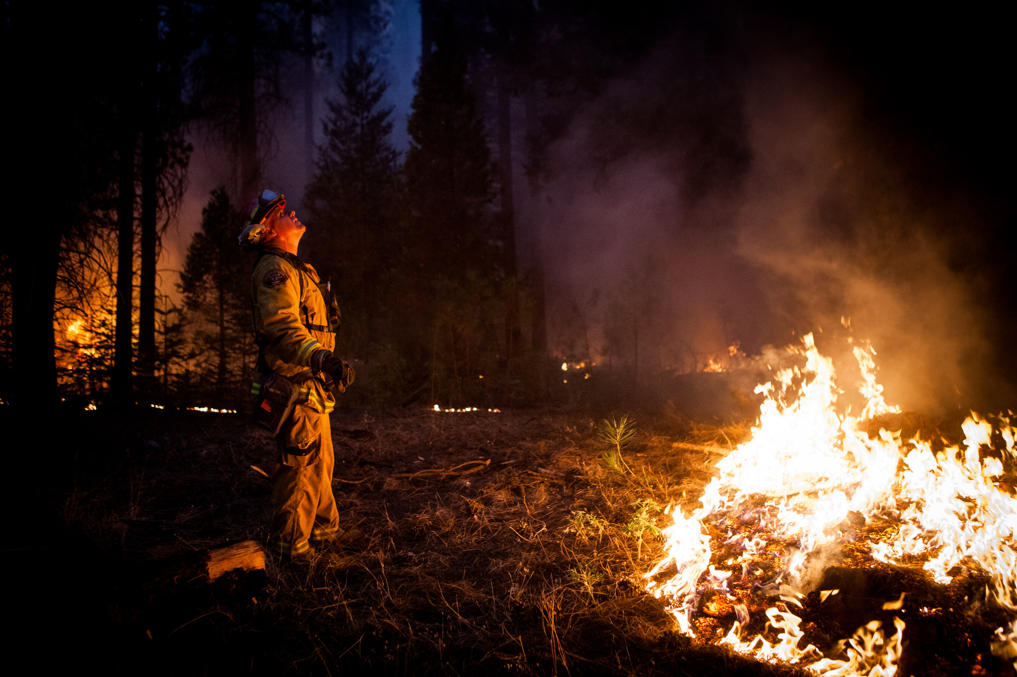  Sacramento Metropolitan firefighter John Graf monitors the Rim Fire line near Camp Mather, California, August 26, 2013. The Rim Fire burned 257,314 acres and is the third largest wildfire in California history. 