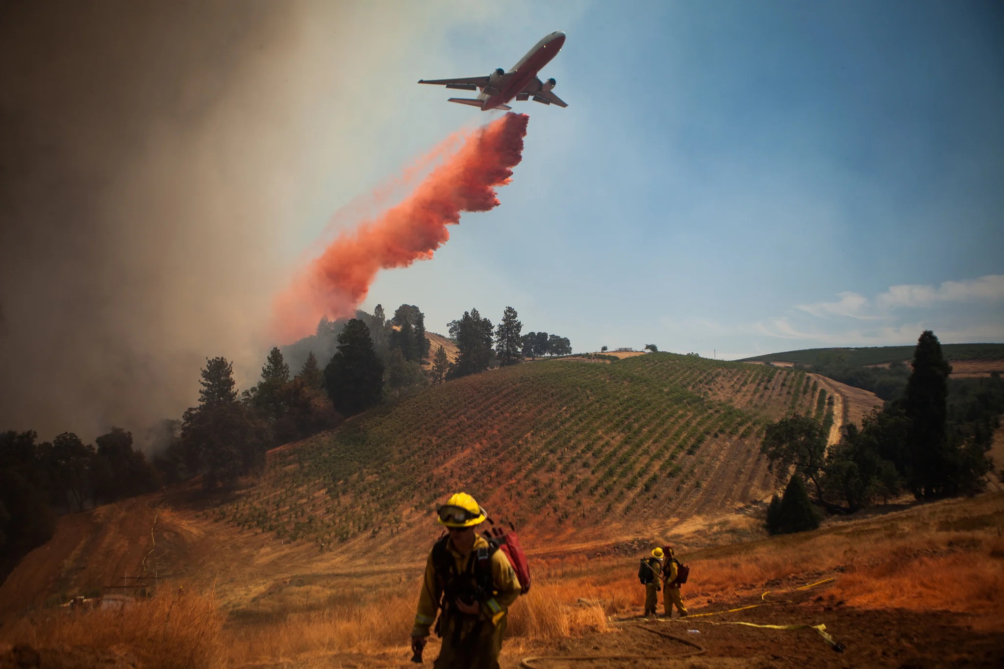 A plane drops fire retardant on a vineyard while battling the Sand Fire near Plymouth, California, July 26, 2014.
The Sand Fire destroyed 20 homes and burned more than 4,200 acres near the town of Plymouth.