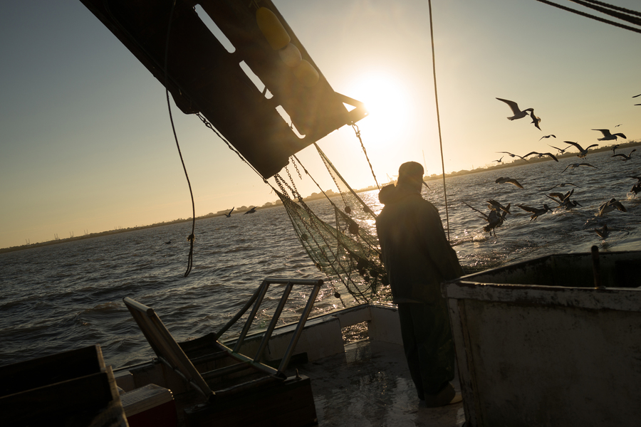 Deckhand Arthur Miller watches the sunrise off the coast of Galveston, Texas while shrimping for bait on the "Sherry Diane." (Dominic Bracco II / Prime for WWF Magazine)