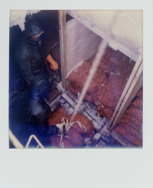 Deckhands unload bails of frozen shrimp at a dock in Palacio's, Texas. (Dominic Bracco II / Prime for WWF Magazine)