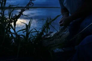 The Monster Under the Water