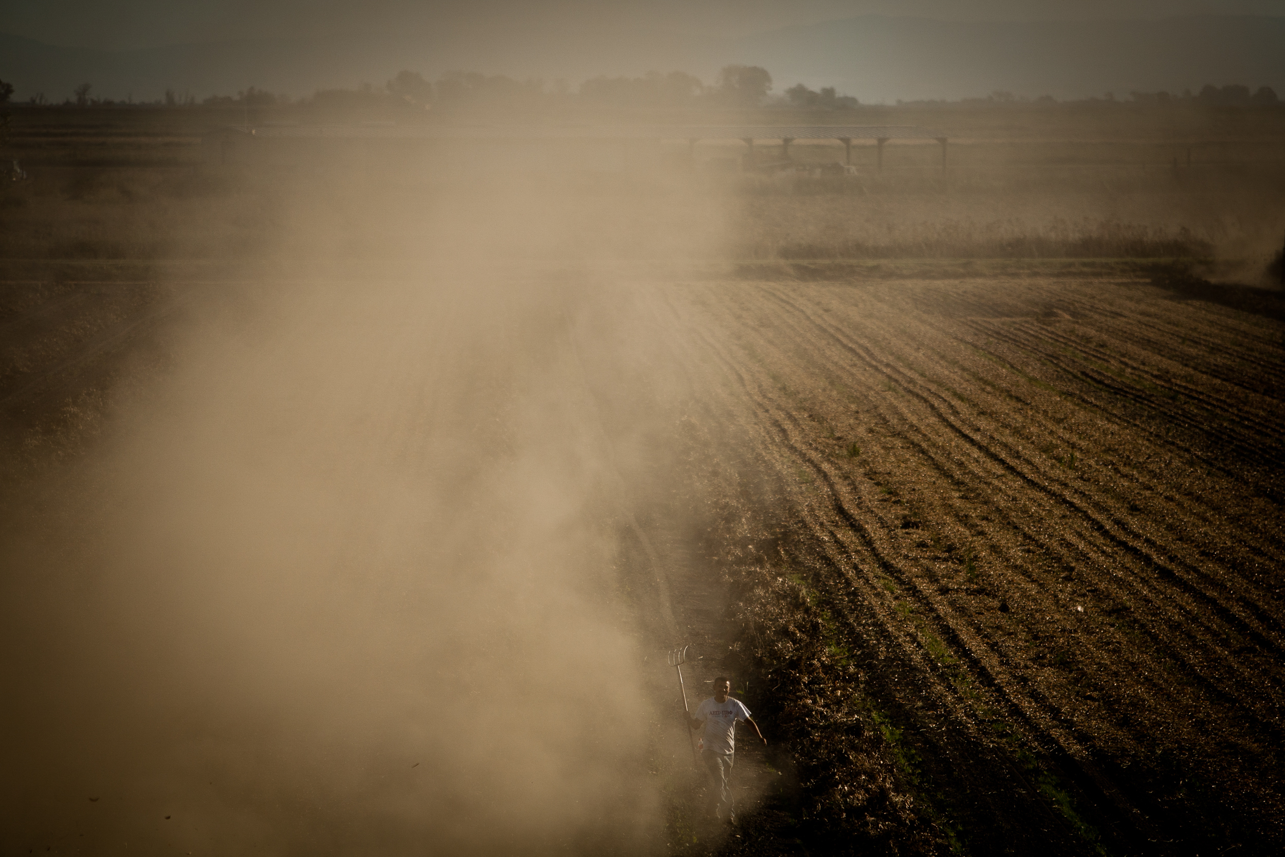  Farmworkers harvest corn silage on Brannan Island in California's Delta. 