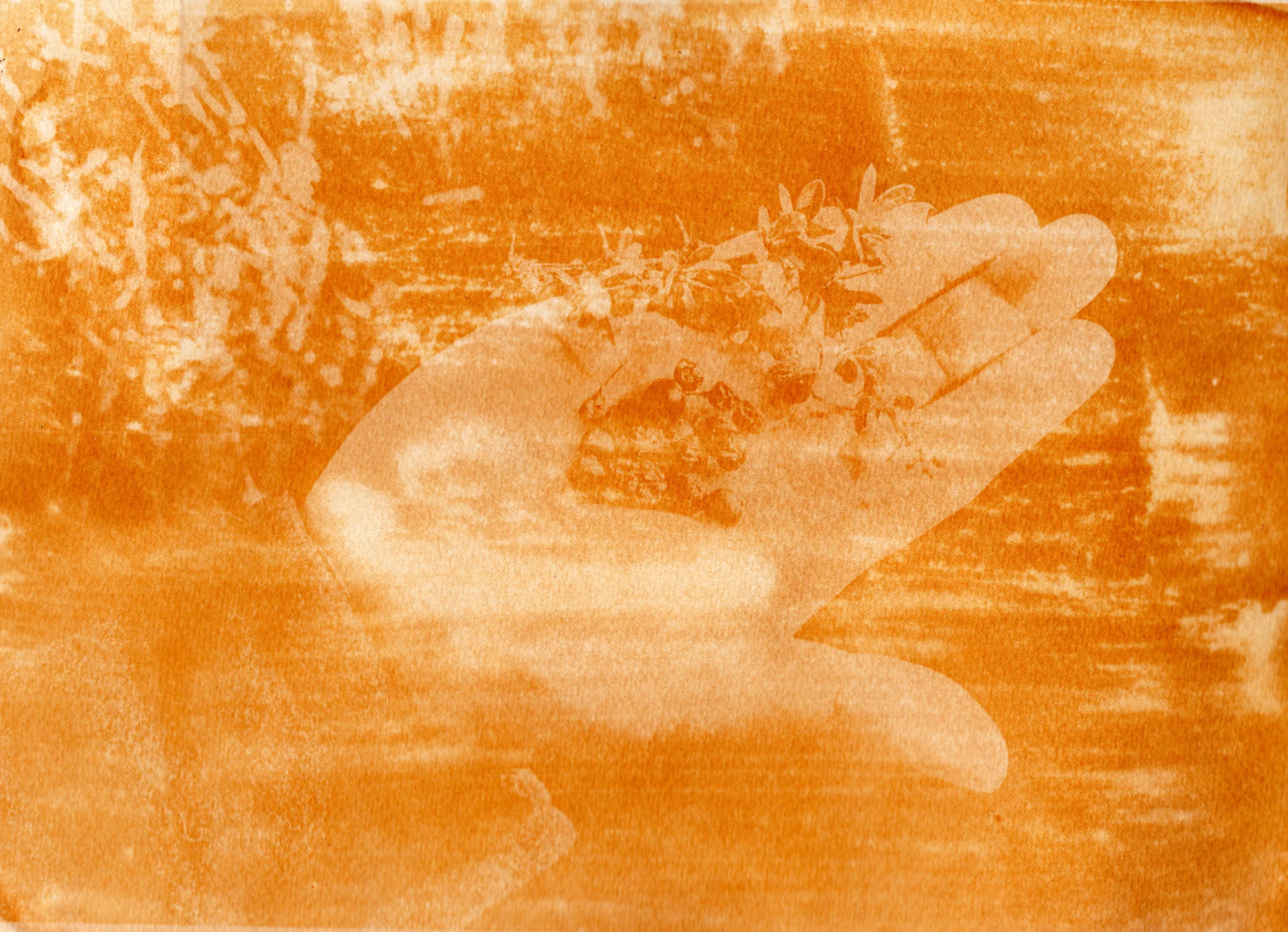 Hilanderas del Fin del Mundo 