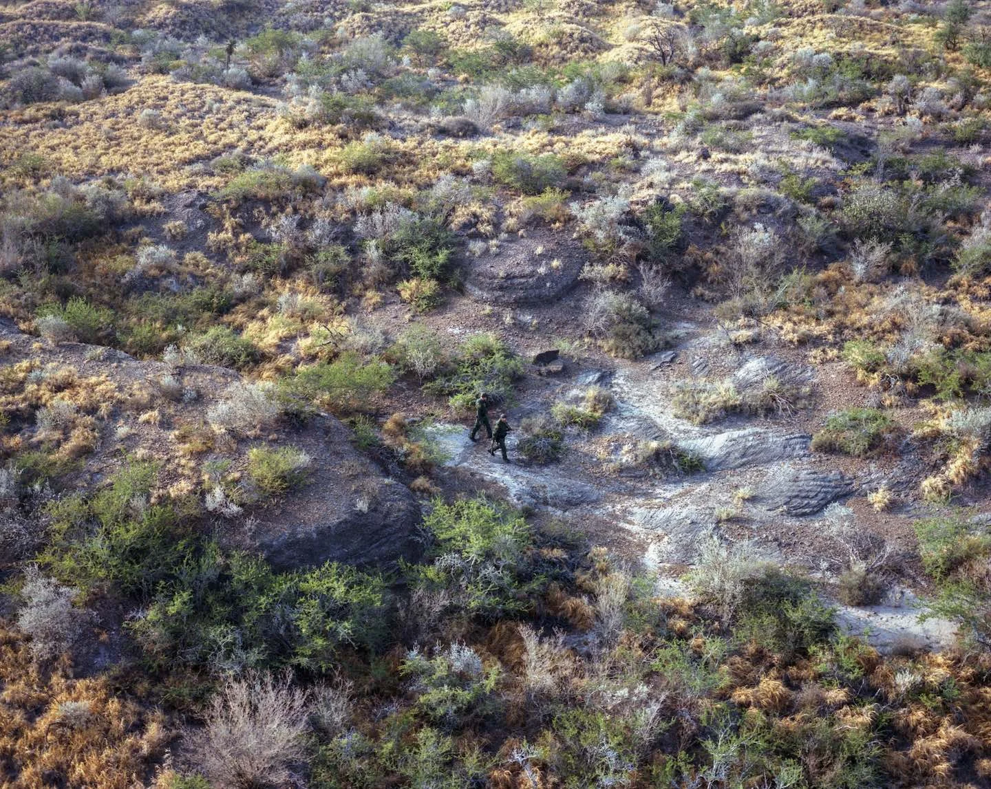 My Republic Exhibition at Cortona on the Move Festival