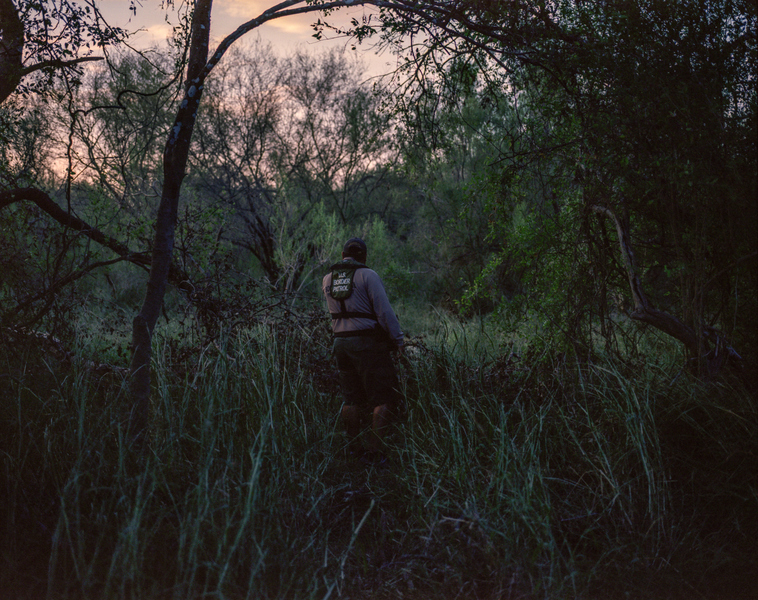  A Border Patrol agent listens for the sounds of people moving through the brush in South Texas.  