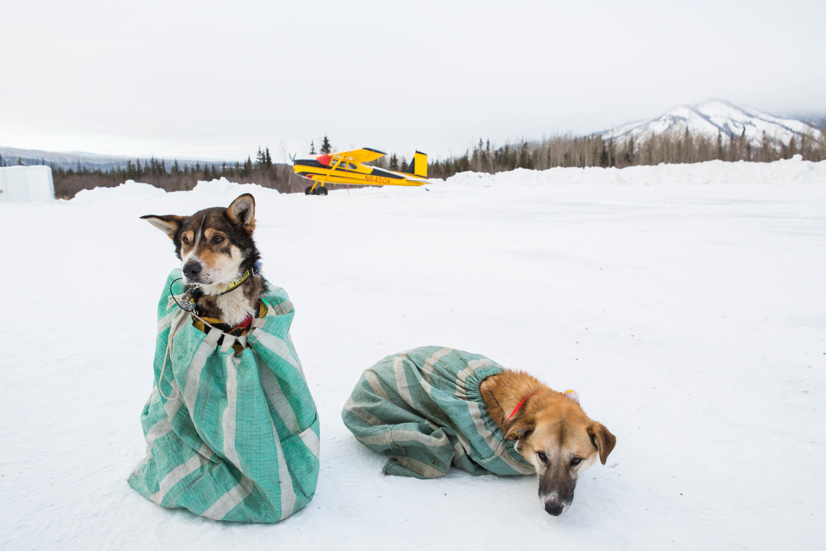 Katie Orlinsky Receives 2019 Alexia Foundation Professional Grant